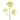 Greenery-Heracleum Discontinued-Bloomr