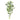 Greenery-Ivy (Discontinued)-Bloomr
