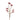 Greenery-Kangaroo Paw-Bloomr