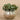 Greenery-Artificial Eucalyptus Arrangement in Ceramic Vase-Bloomr