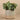 Greenery-Artificial Eucalyptus Arrangement in Ceramic Vase-Bloomr