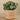 Greenery-Artificial Eucalyptus Arrangement in Ceramic Vase-Bloomr