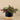 Greenery-Artificial Potted Vanilla Leaf Plant-Bloomr