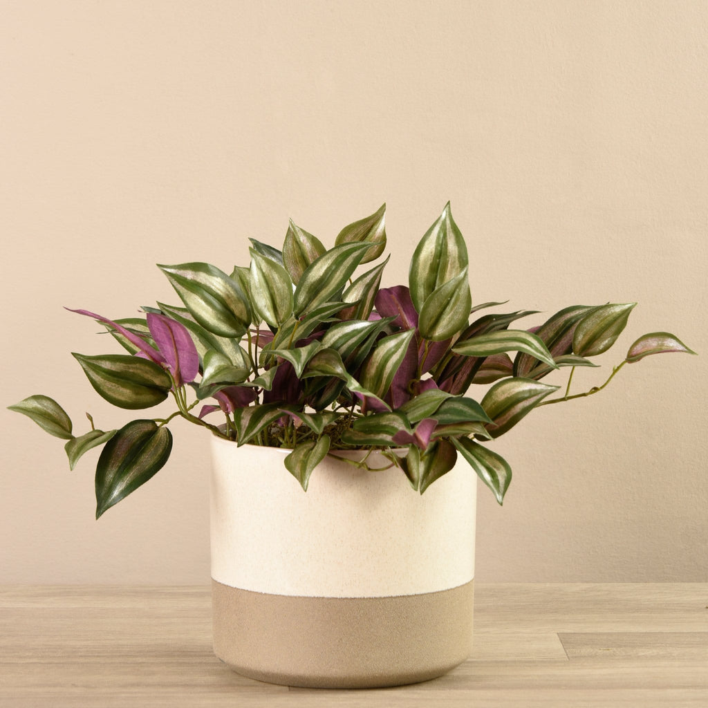 Artificial Potted Vanilla Leaf Plant - Bloomr