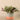 Greenery-Artificial Potted Vanilla Leaf Plant-Bloomr