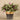 Greenery-Artificial Potted Vanilla Leaf Plant-Bloomr