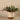 Greenery-Artificial Potted Vanilla Leaf Plant-Bloomr