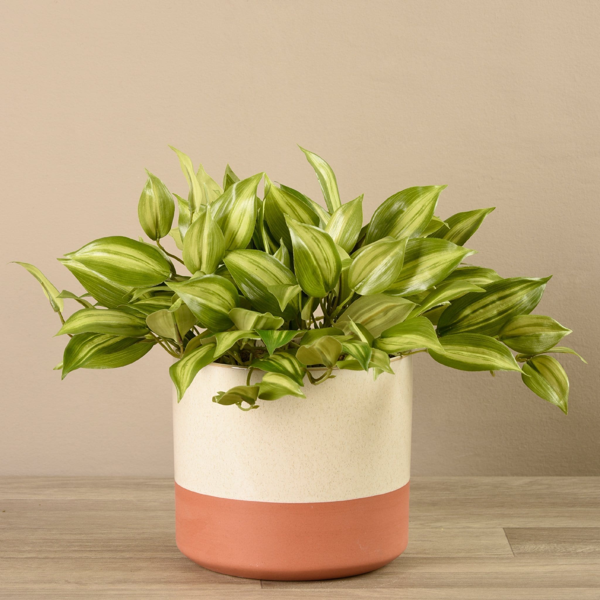 Artificial Potted Vanilla Plant - Bloomr