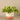 Greenery-Artificial Potted Vanilla Plant-Bloomr