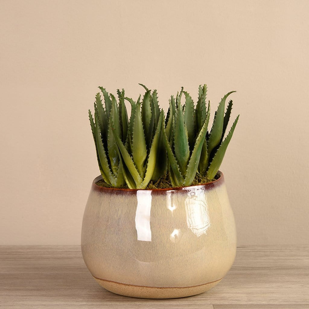 Artificial Santa Fe Aloe Arrangement - Bloomr