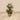 Plants-Artificial Maranta Plant 110cm-Bloomr