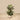 Plants-Artificial Maranta Plant 110cm-Bloomr
