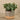 Greenery-Artificial Eucalyptus Arrangement in Ceramic Vase-Bloomr