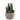 Greenery-Potted Columnar Cactus-Bloomr