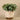 Greenery-Artificial Potted Eucalyptus-Bloomr