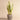 Greenery-Artificial Potted Snake Plant-Bloomr