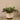 Greenery-Artificial Potted Vanilla Leaf Plant-Bloomr