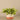 Greenery-Artificial Potted Vanilla Plant-Bloomr