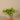 Greenery-Artificial Potted Vanilla Leaf Plant-Bloomr