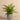 Greenery-Artificial Potted Fern-Bloomr