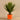 Greenery-Potted Agave-Bloomr