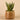 Greenery-Artificial Potted Aloe-Bloomr