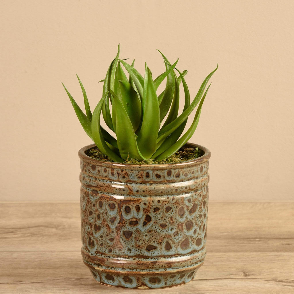 Artificial Potted Aloe - Bloomr