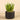 Greenery-Artificial Potted Aloe-Bloomr