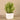 Greenery-Artificial Potted Asparagus Fern-Bloomr