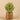 Greenery-Artificial Potted Asparagus Fern-Bloomr