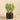 Greenery-Artificial Potted Asparagus Fern-Bloomr