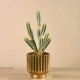 Artificial Potted Cactus - Bloomr
