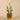 Greenery-Artificial Potted Cactus-Bloomr