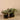 Greenery-Artificial Potted Dark Vanilla Leaf-Bloomr