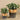 Greenery-Artificial Potted Eucalyptus-Bloomr