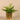 Plants-Artificial Potted Fern-Bloomr