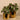 Greenery-Artificial Potted Ligularia-Bloomr