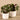 Greenery-Artificial Potted Ligularia-Bloomr