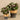 Greenery-Artificial Potted Ligularia-Bloomr