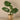 Greenery-Potted Monstera Plant-Bloomr