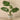 Greenery-Potted Monstera Plant-Bloomr