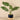 Greenery-Potted Monstera Plant-Bloomr