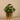 Greenery-Artificial Potted Pancake Plant-Bloomr