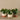 Greenery-Artificial Potted Pancake Plant-Bloomr