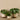 Greenery-Potted Pancake Plant-Bloomr