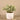 Greenery-Artificial Potted Silver Falls-Bloomr