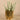 Greenery-Artificial Potted Succulent-Bloomr