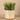 Greenery-Artificial Potted Succulent-Bloomr