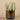 Greenery-Artificial Potted Succulent-Bloomr