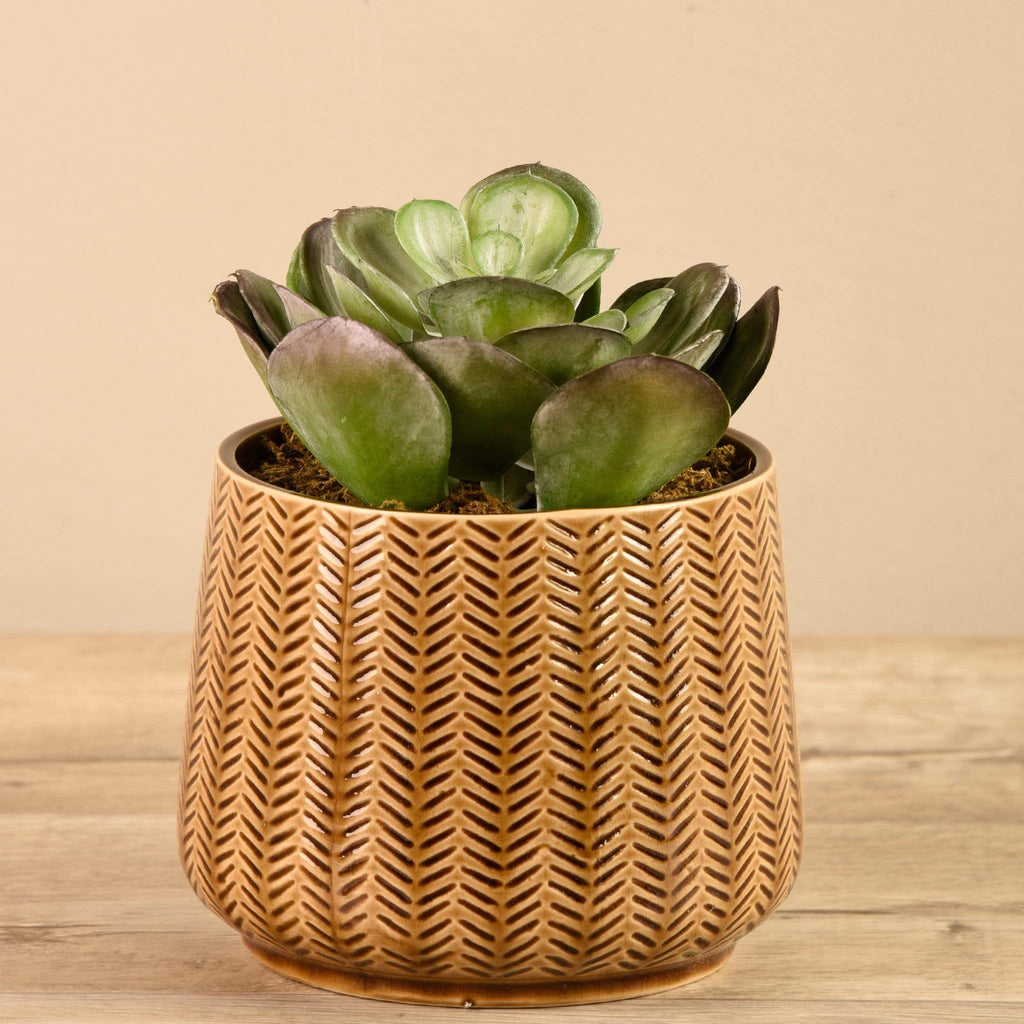 Artificial Potted Succulent - Bloomr